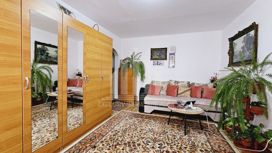 Apartament cu 2 camere de vanzare, Cetate - Poză 3