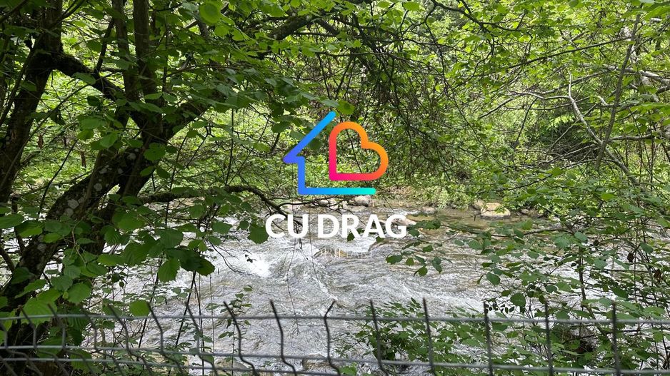 Investiție cu suflet: Pensiune de vânzare pe Valea Avrigului - Poză 9