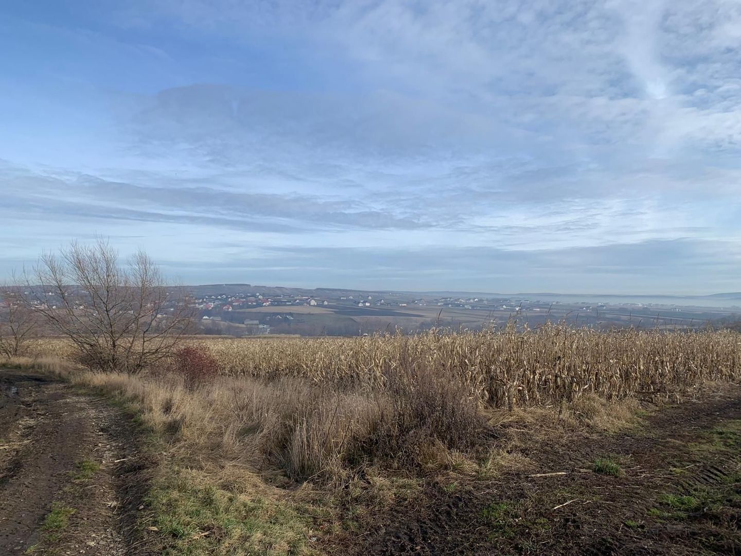 Teren intravilan de vânzare | Cajvana | 7.800 mp - Poză 4