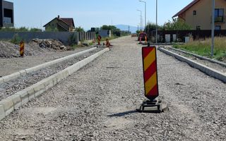 Terenuri Intravilane  Harman - Poză 5