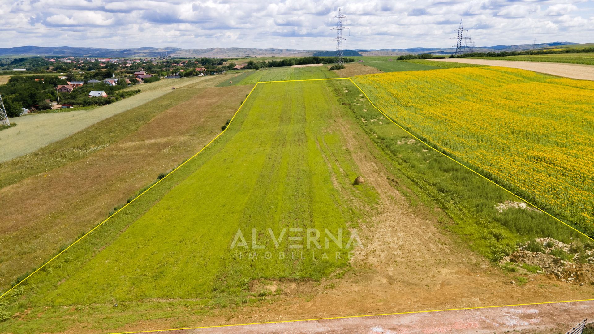 Teren constructii 10 parcele - 900mp | front 25m  |  Jucu de Sus - Poză 6