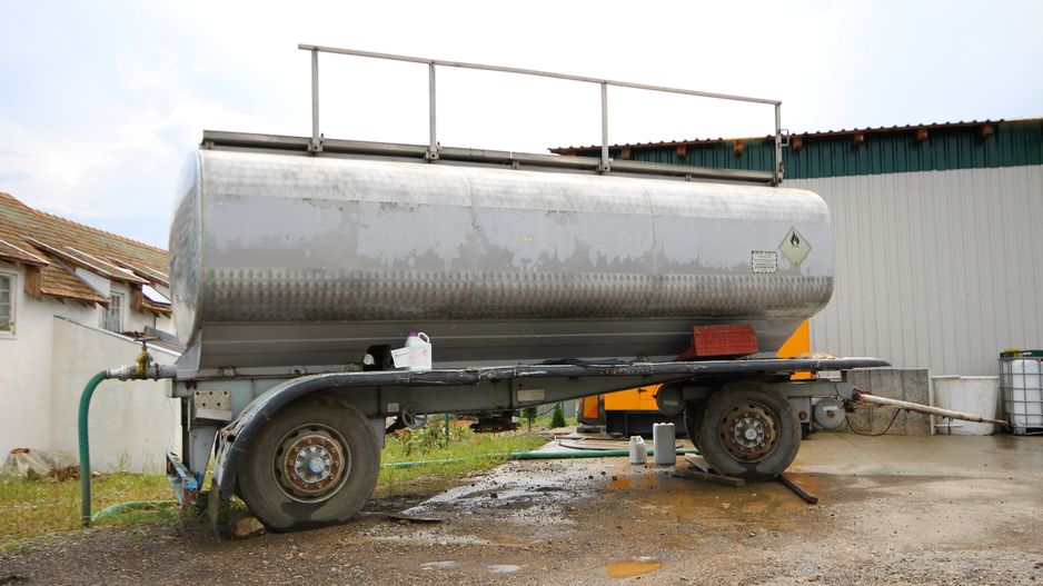 Ferma pomicola cu teren livada 270 ha - Timis - Poză 11