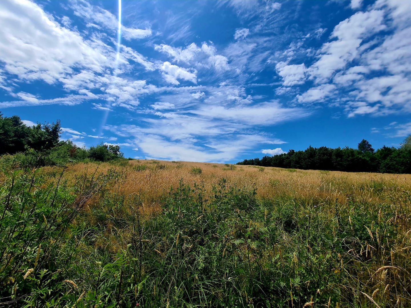 Teren intravilan 9500 mp - Poză 7