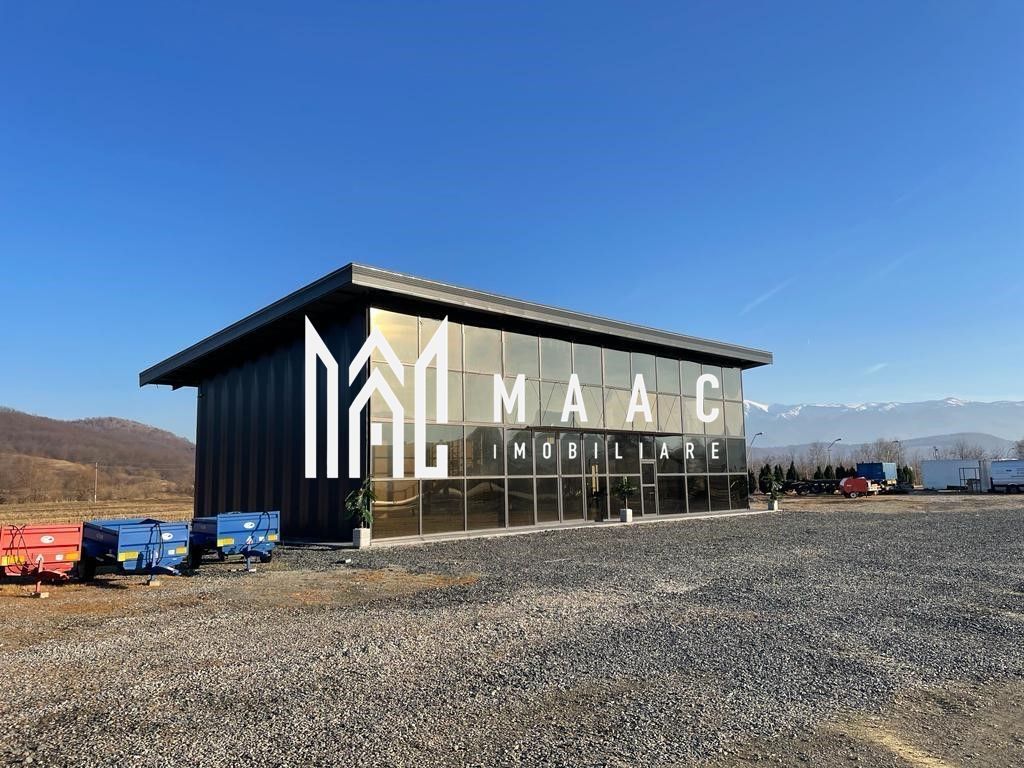 Hala | 250 MP |  Teren 3900 MP | - Poză 1