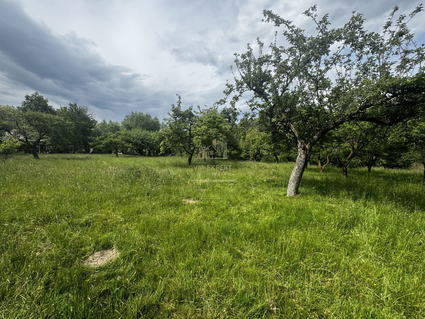 TEREN INTRAVILAN 4600 MP, VOINESTI, LERESTI, ARGEȘ - Poză 6