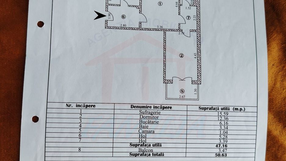 Inchiriere apartament semidecomandat 2 camere, Mazepa 1 - Poză 16