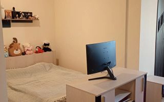 Apartament 1 camera | Iulius Mall | Ingrijit | Bine Compartimentat - Poză 2
