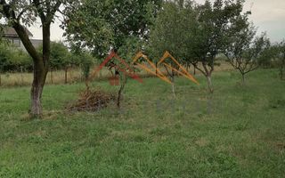 Casa rustica 3 camere, 4000 mp teren, cabana din lemn, pomi fructiferi - Poză 17