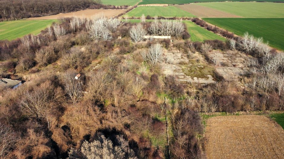 Ferma si livada de meri in judetul Ilfov - Poză 25