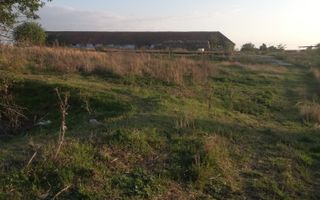 Ferma de vânzare - Poză 6