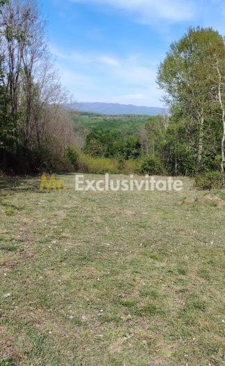 Teren zona montana in com.Turcinesti Jud.Gorj - Poză 10