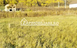 Teren 780 mp, Livezeni cu PUG aprobat recent,asfalt - Poză 11