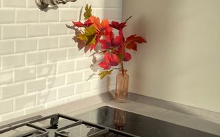 Apartament in casă, 60 mp, acces privat și teren, zona Platinia. - Poză 2