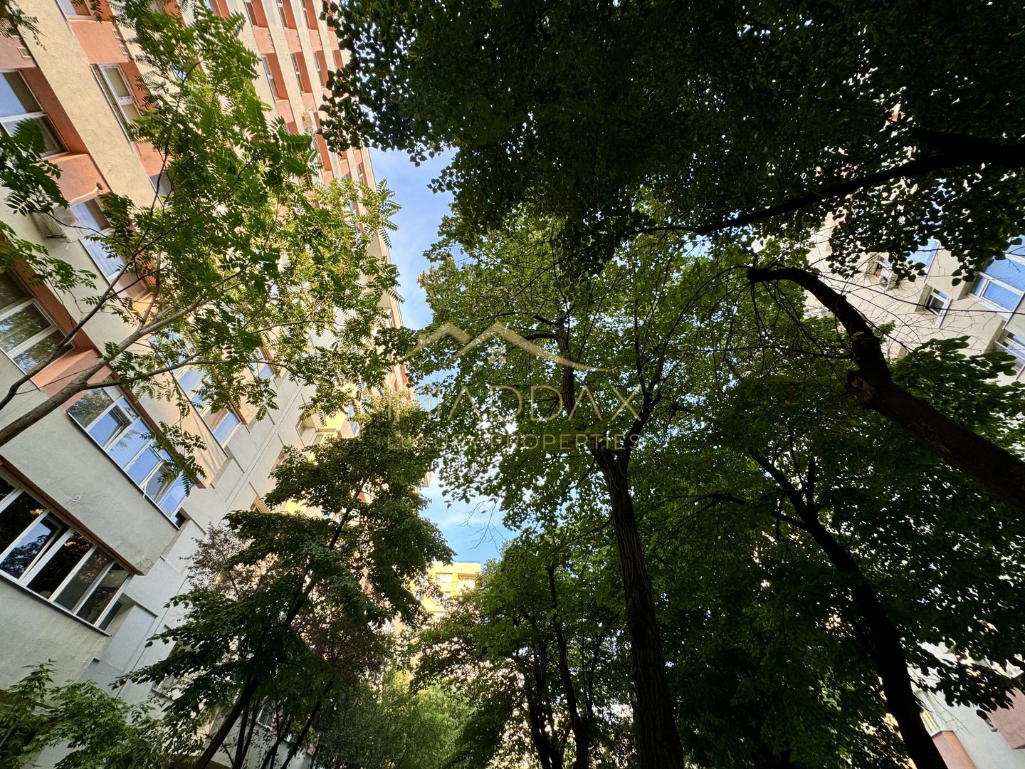 Apartament cu 3 camere // Zona Tei - Doamna Ghica - Poză 39