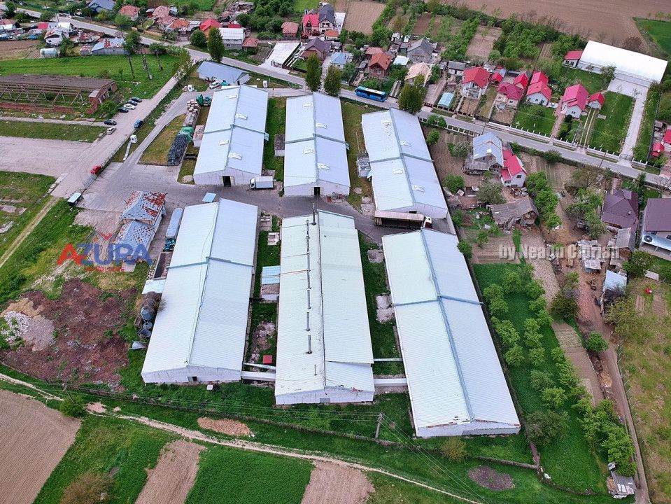 COMISION 0% - HALE Calinesti Arges - Poză 77