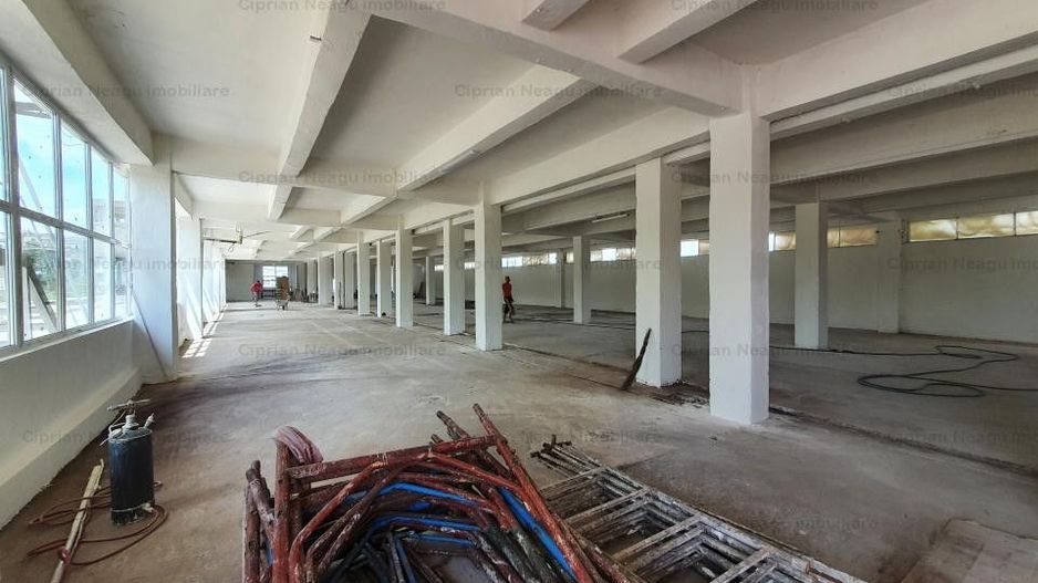 Hala Depozitare de Inchiriat Pitesti - Poză 5