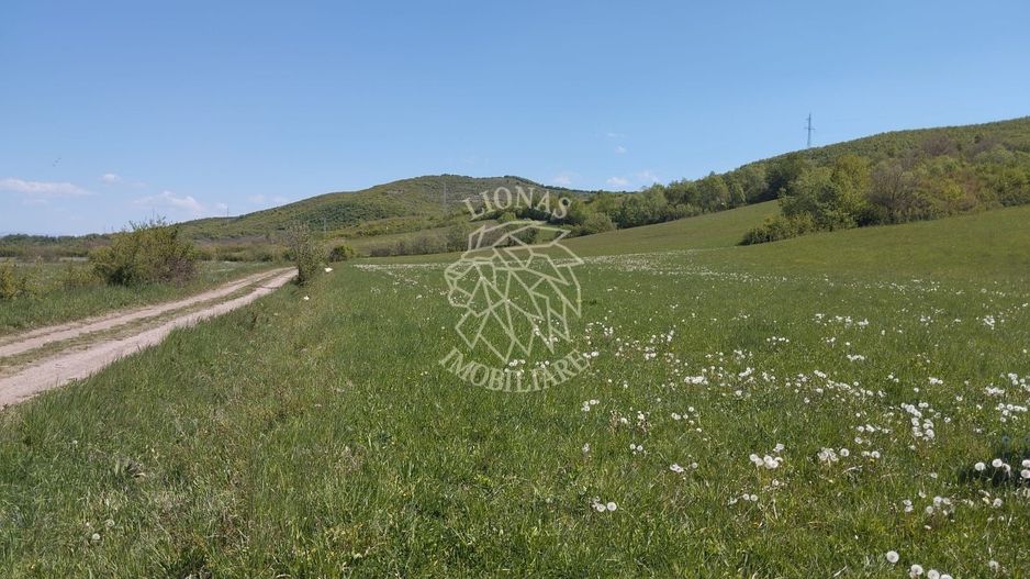 Teren 5400 mp-limita intravilan-2 deschideri-Sarata - Poză 1