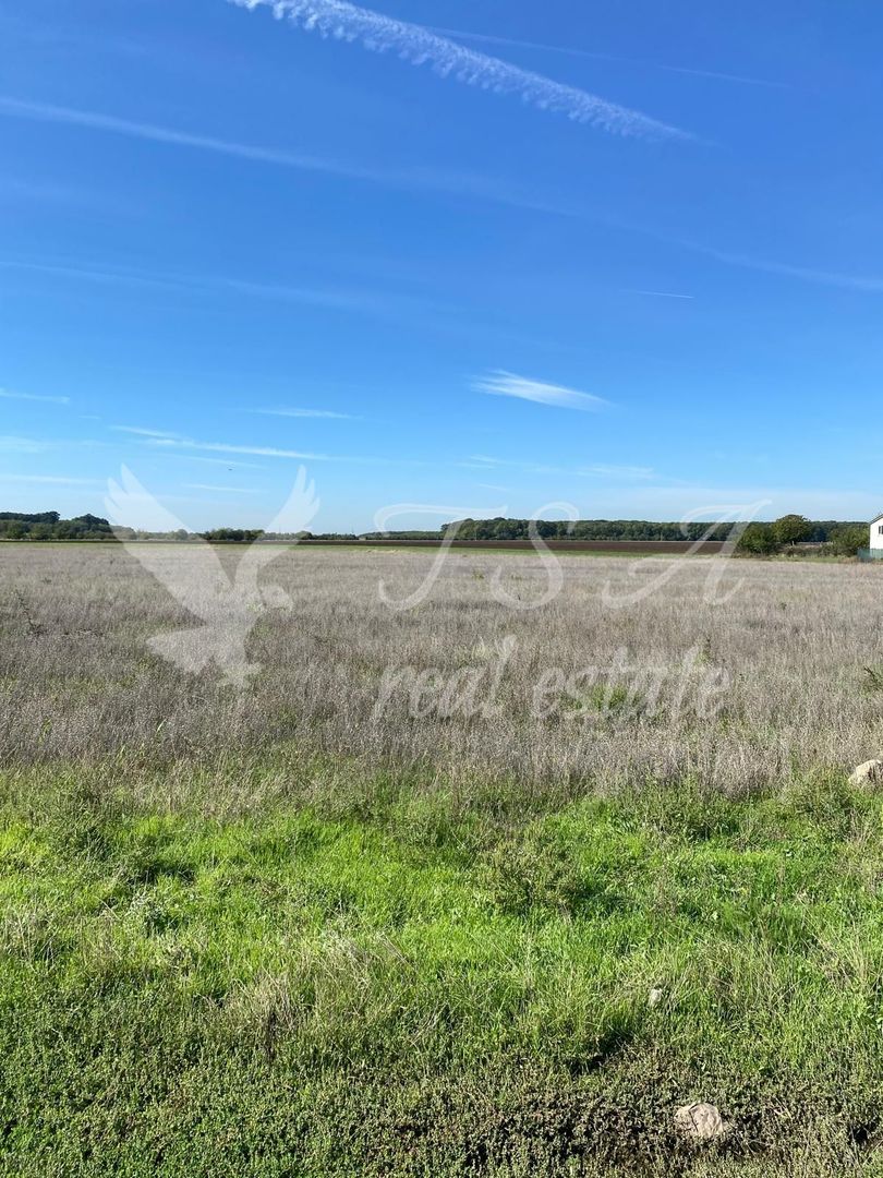 Teren Intravilan 825mp Cu dubla deschidere si Drum de servitute, Dascalu  Ilfov - Poză 10