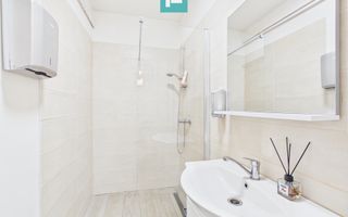 Spațiu Comercial în vilă - Complexul Studențesc - Poză 16