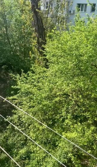 Inchiriere apartament (Zona Dristor) - Poză 13