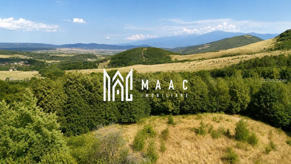 Teren intravilan 2.938 mp | Tocile, Sadu | pârâu natural - Poză 6