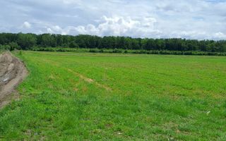 Teren extravilan - 13.500mp -Comuna Boteni-la 3 km de oras Titu - Poză 3