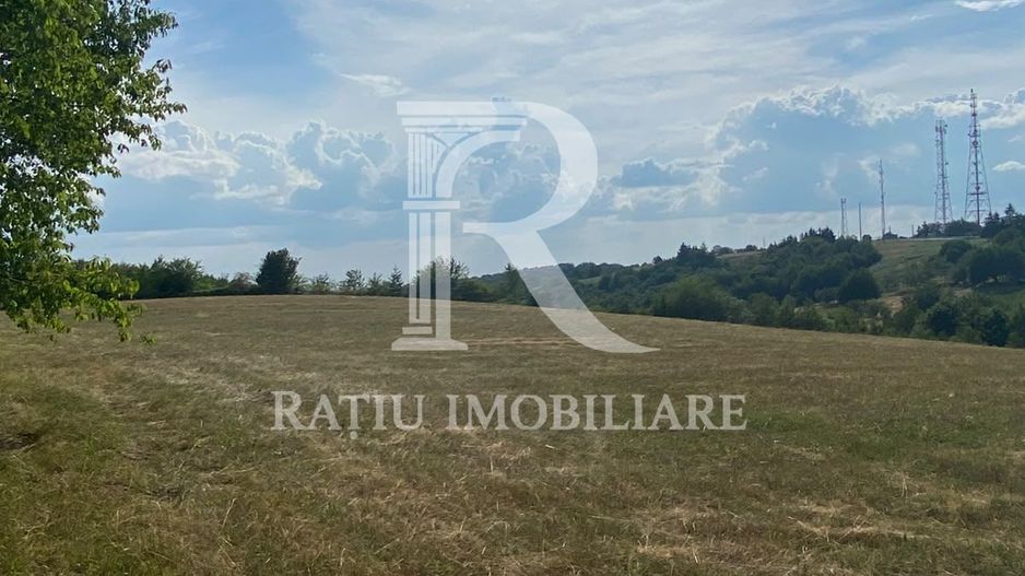 Teren Intravilan | 17.500 mp | Șinteu | Bihor - Poză 1
