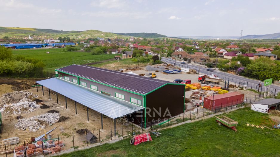 Hala industriala 465mp + anexa | teren 7162mp | front 95ml | Rascruci - Poză 6