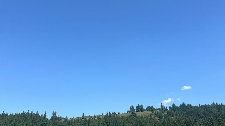 OPORTUNITATE ÎN INIMA NATURII-Teren intravilan, COMANDĂU, COVASNA - Poză 5