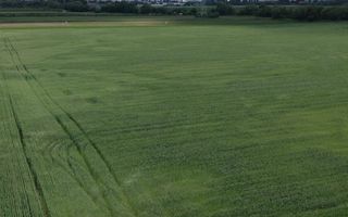 Teren intravilan 50000 mp, cu PUZ, Aprobat - zona Halchiu/Codlea - Poză 8
