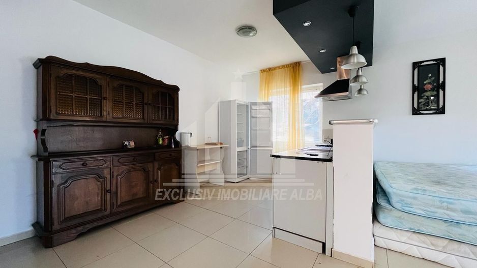 Casa de inchiriat in Cetate - Poză 4