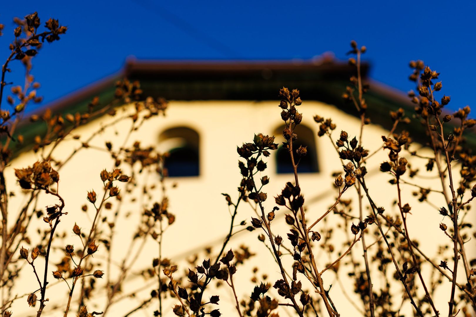 Casă Individuală pentru Birouri - Central, Timișoara | Curte 726 mp - Poză 5