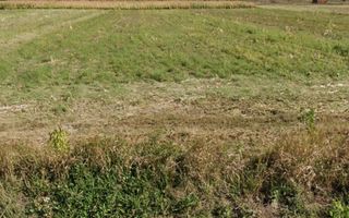 Teren 7.400 mp, deschidere 40 m la DN11, Târgu Trotuș - Poză 2