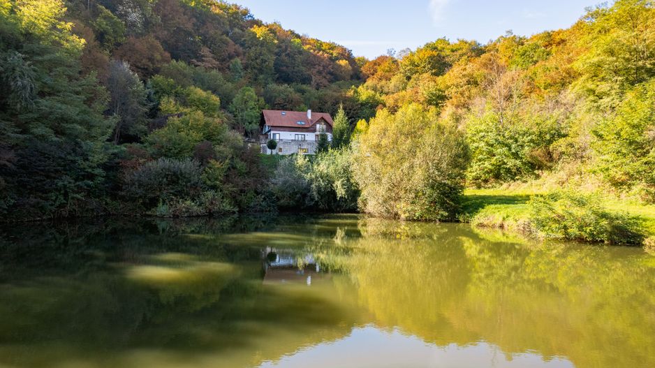 Domeniu în satul Căprioara - Poză 10