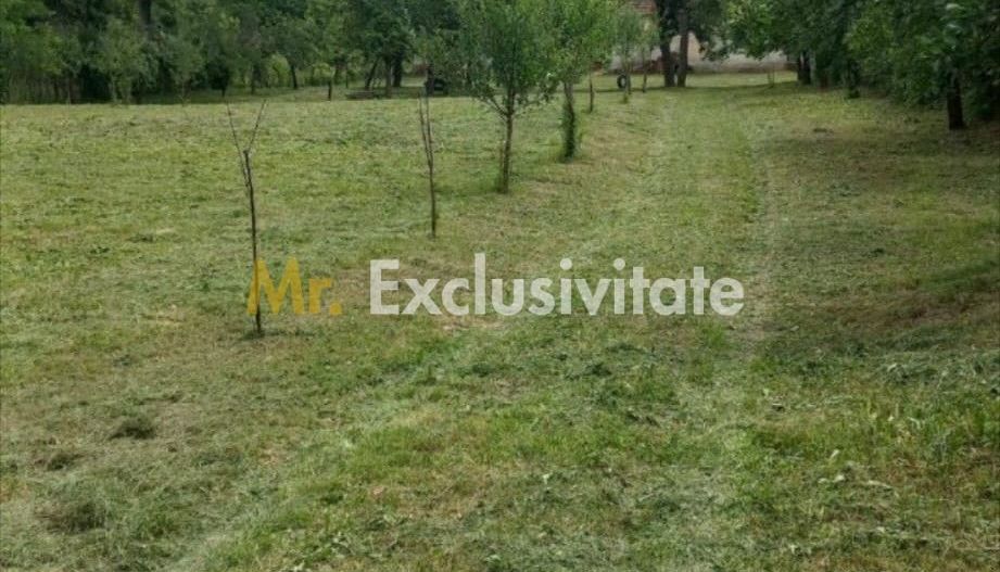 Teren 36 Ari intravilan Zona Strandului - Poză 2