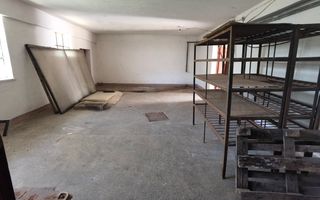 Spatiu industrial zona Sud-Arad - Poză 18