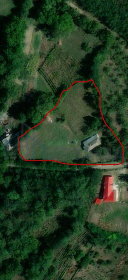 Casă si teren Dobrovăț - Poză 1