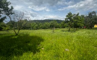 TEREN INTRAVILAN 4600 MP, VOINESTI, LERESTI, ARGEȘ - Poză 8