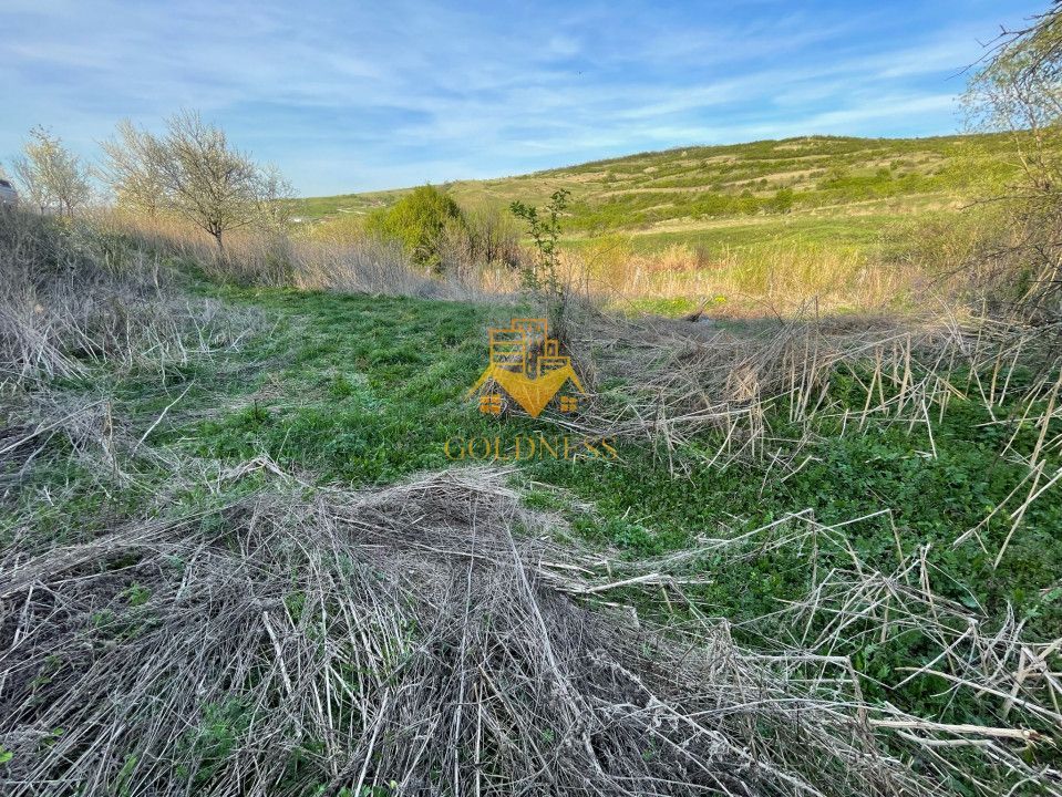 Tren Soporului Intravilan ,5500 MP Utilitati,  Oportunitate - Poză 9