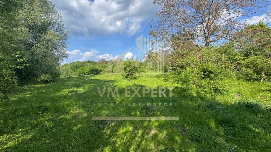 TEREN INTRAVILAN 2943 MP CAMPULUNG - Poză 6