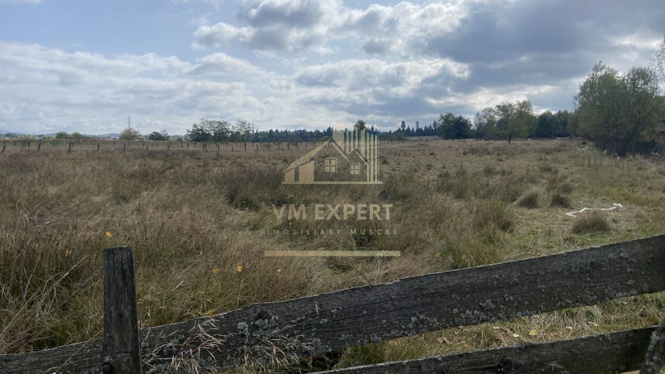 TEREN INTRAVILAN 5000 MP, GRUI, CAMPULUNG - Poză 1