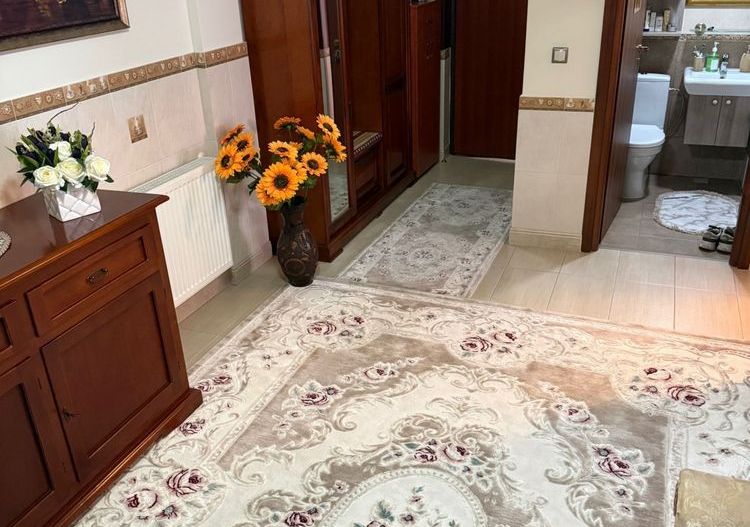 BRASADAS vinde ap 2 cam la PARTER. - Poză 8