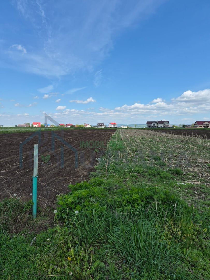 Teren de vânzare în Stolniceni-Prăjescu, 1250 mp, deschidere 12.5 m - Poză 1