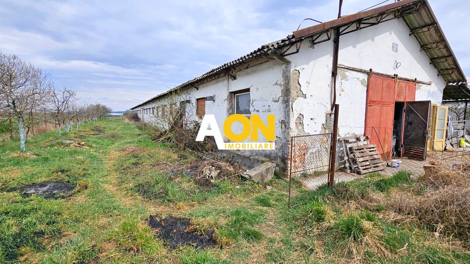 2 Hale pt.depozitare sau productie, 6100 teren, Lunca Muresului - Poză 4