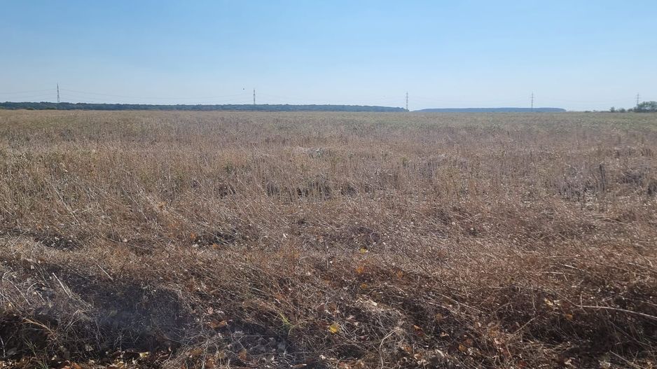 Oportunitate de investitie | Teren intravilan de vanzare | 5000 mp - Poză 8