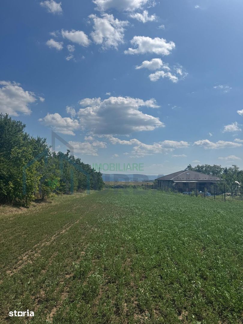 Teren intravilan de 3.000 mp în Aroneanu, cu PUZ realizat și indicatori urbanistici definiți - Poză 1