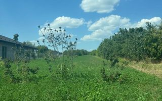 Teren intravilan de 3.000 mp în Aroneanu, cu PUZ realizat și indicatori urbanistici definiți - Poză 2