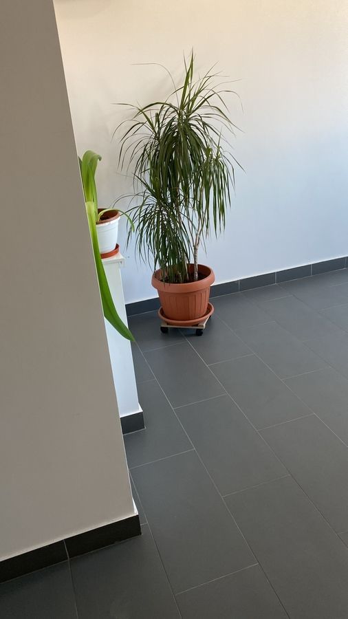 De inchiriat apartament cu 2 camere , Sun Plaza sector4 - Poză 10