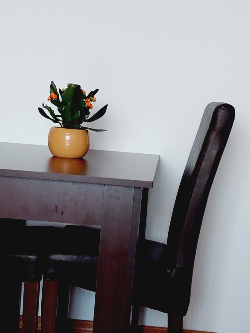 Apartament 2 camere Drumul Taberei Parc Moghioros - Poză 12