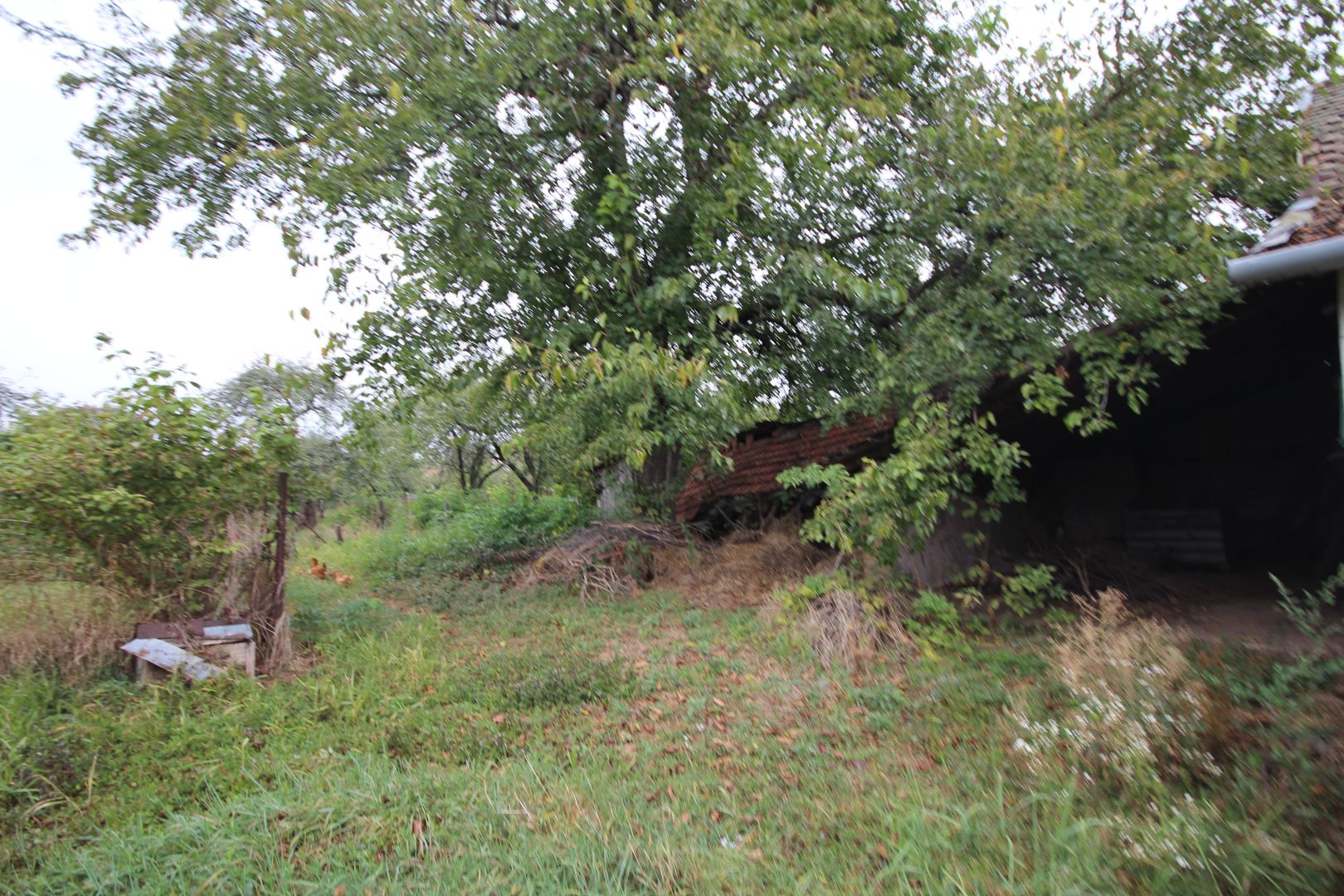 Teren de vânzare - 1900 mp Dumbravita - Poză 5